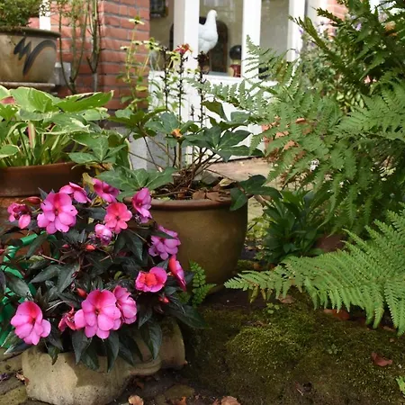 Bed & Breakfast Leonie-2